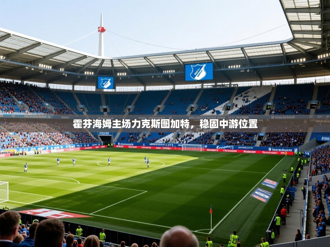 2025爱游戏入口霍芬海姆主场力克斯图加特，稳固中游位置  第4张